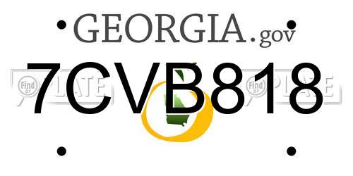 7CVB818 Georgia License Plate