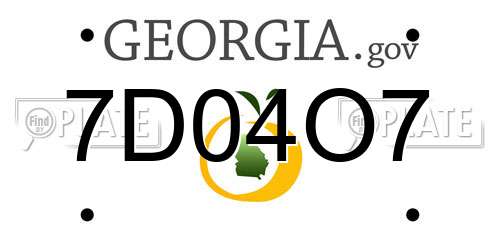 7D04O7 Georgia License Plate