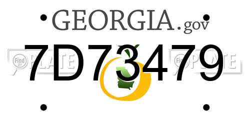 7D73479 Georgia License Plate
