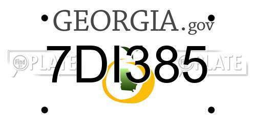 7DI385 Georgia License Plate