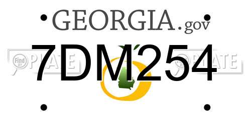7DM254 Georgia License Plate