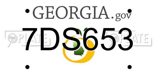 7DS653 Georgia License Plate