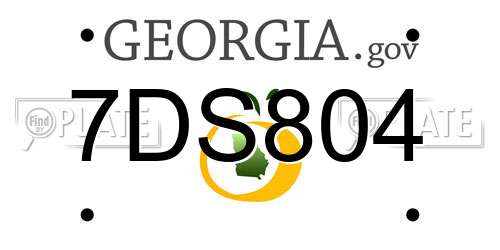 7DS804 Georgia License Plate