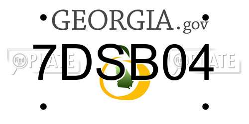 7DSB04 Georgia License Plate