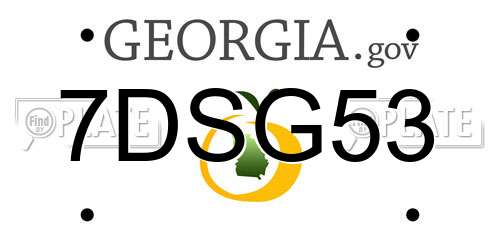 7DSG53 Georgia License Plate