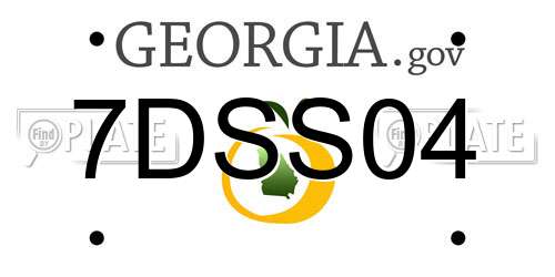 7DSS04 Georgia License Plate