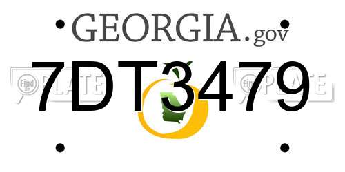 7DT3479 Georgia License Plate