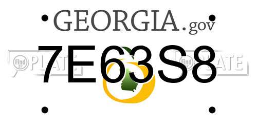 7E63S8 Georgia License Plate
