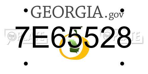 7E65528 Georgia License Plate
