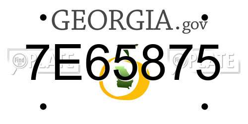 7E65875 Georgia License Plate