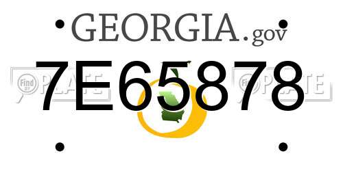 7E65878 Georgia License Plate