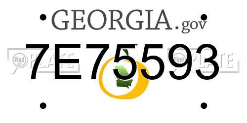 7E75593 Georgia License Plate