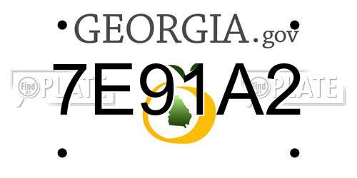 7E91A2 Georgia License Plate