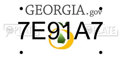 7E91A7 Georgia License Plate