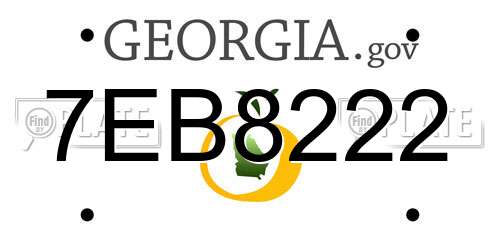 7EB8222 Georgia License Plate