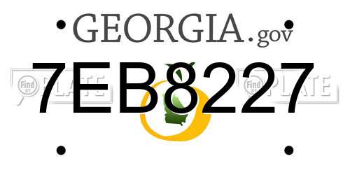 7EB8227 Georgia License Plate