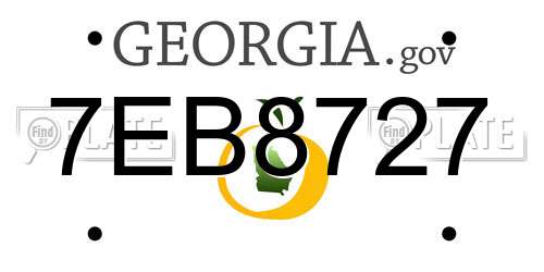 7EB8727 Georgia License Plate