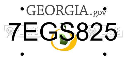 7EGS825 Georgia License Plate