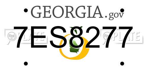 7ES8277 Georgia License Plate