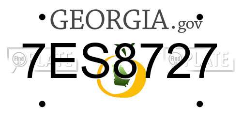7ES8727 Georgia License Plate