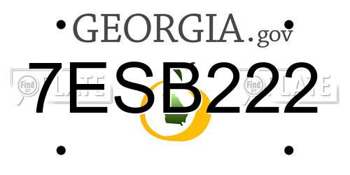 7ESB222 Georgia License Plate