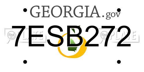 7ESB272 Georgia License Plate
