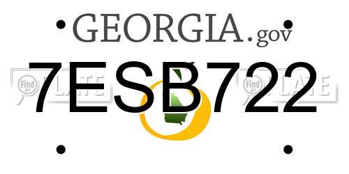 7ESB722 Georgia License Plate
