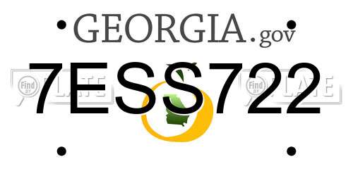 7ESS722 Georgia License Plate