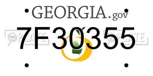 7F30355 Georgia License Plate