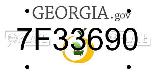 7F33690 Georgia License Plate
