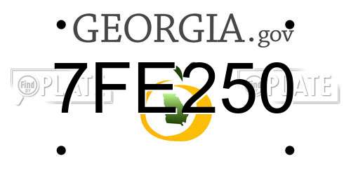 7FE250 Georgia License Plate