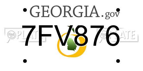 7FV876 Georgia License Plate