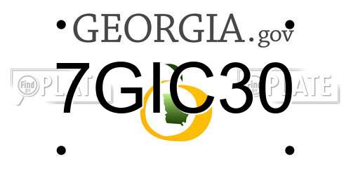 7GIC30 Georgia License Plate