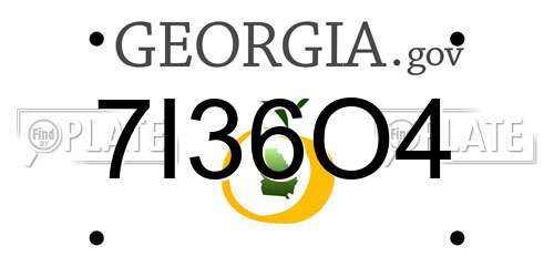 7I36O4 Georgia License Plate