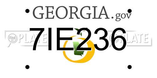 7IE236 Georgia License Plate