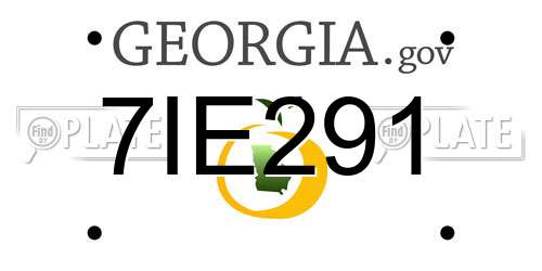 7IE291 Georgia License Plate