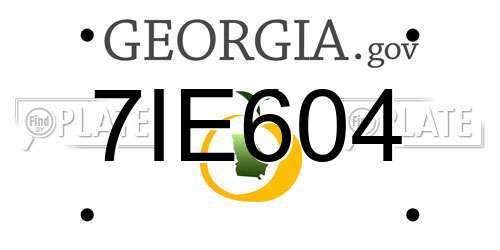 7IE604 Georgia License Plate