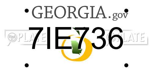 7IE736 Georgia License Plate