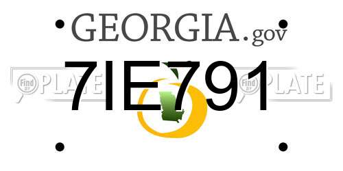 7IE791 Georgia License Plate