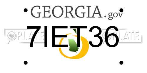 7IET36 Georgia License Plate