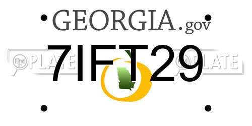 7IFT29 Georgia License Plate