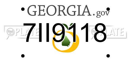 7II9118 Georgia License Plate