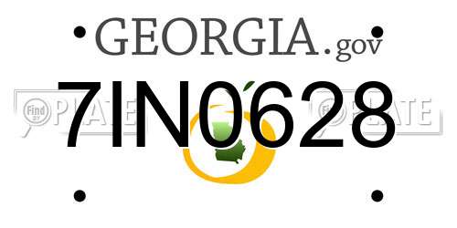 7IN0628 Georgia License Plate