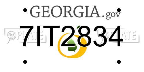 7IT2834 Georgia License Plate