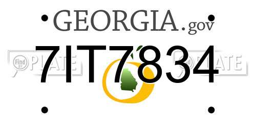 7IT7834 Georgia License Plate