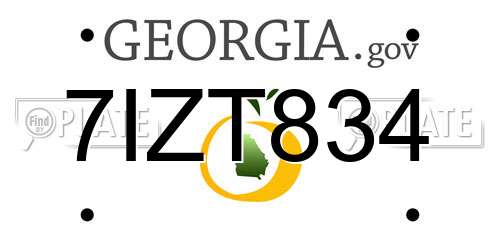 7IZT834 Georgia License Plate