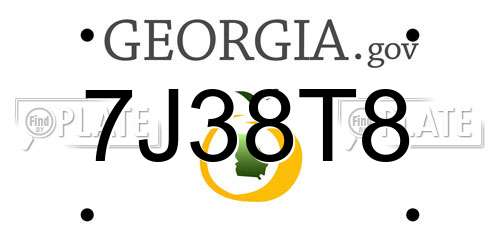 7J38T8 Georgia License Plate