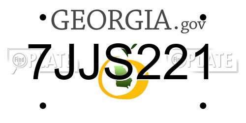 7JJS221 Georgia License Plate