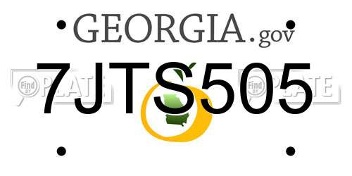 7JTS505 Georgia License Plate