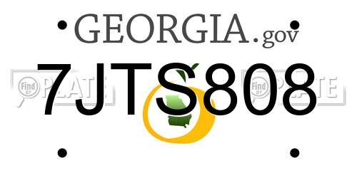 7JTS808 Georgia License Plate